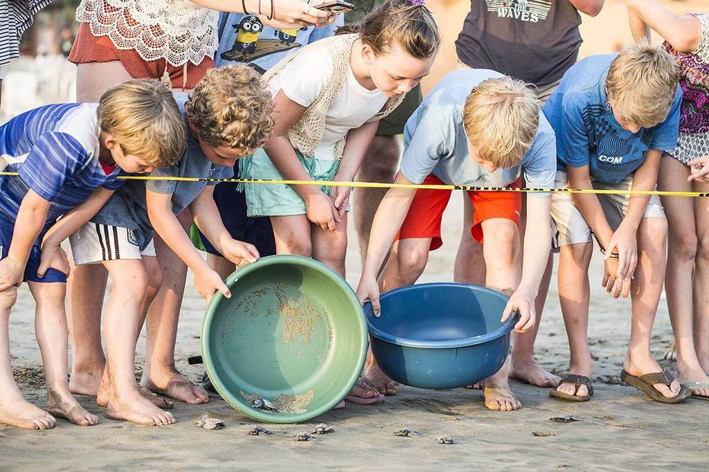 Young children release baby sea turtles