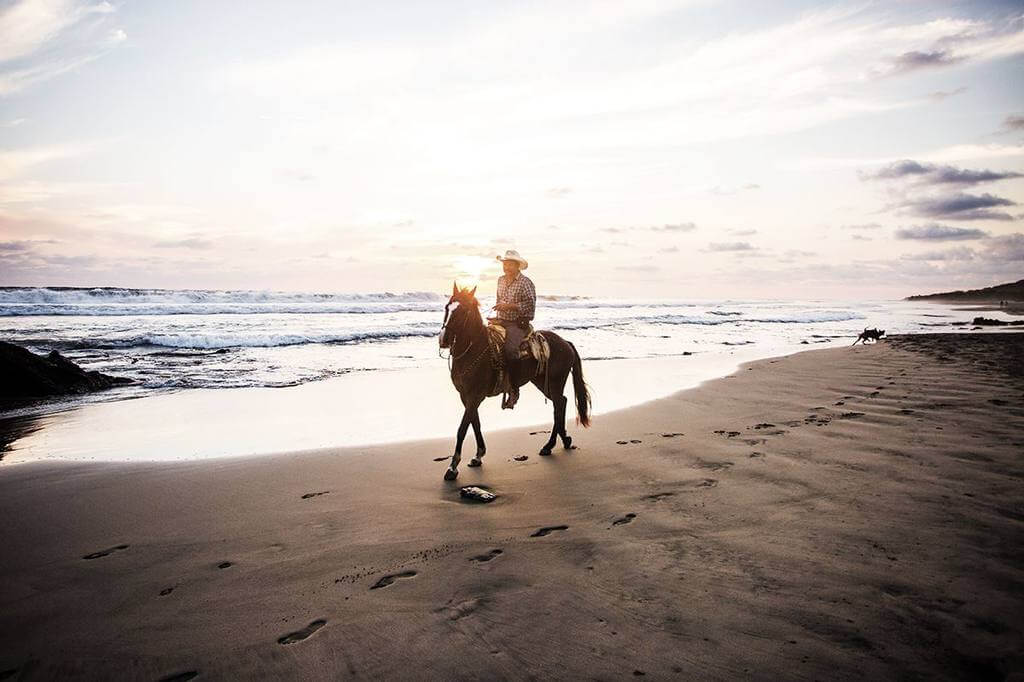 Horseback rider on the beach